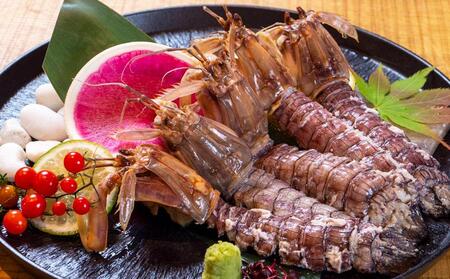 小樽産 漁師直送 浜茹で シャコ (冷凍) オス10匹・メス10匹＜計20匹＞ 【2026年12月下旬発送予定】