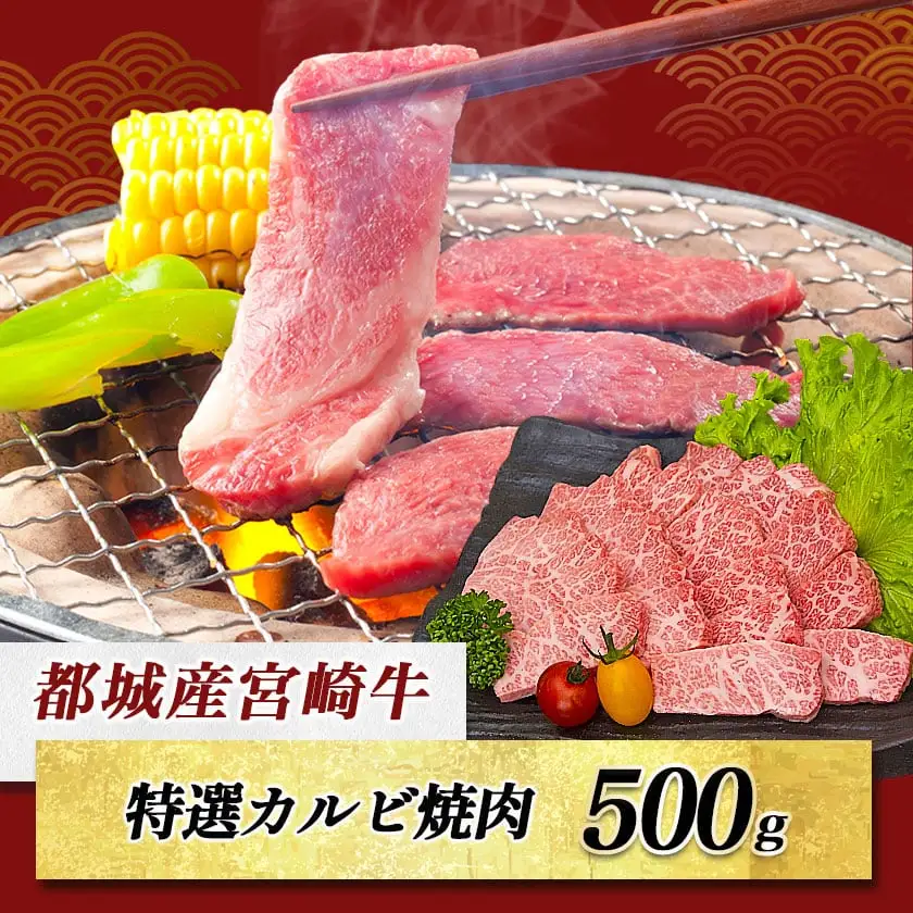 宮崎牛特選カルビ焼肉(A5)〔AD-A0-003〕_(都城市) 牛肉 A5等級の宮崎牛 特選カルビ焼肉 (500g) A5ランク 最高級の国産黒毛和牛 最上級の霜降り牛肉 焼き肉/バーベキュー/鉄板焼きにどうぞ 『内閣総理大臣賞』を受賞した生産者のお肉です!