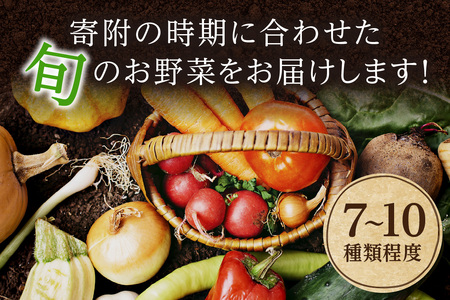 野菜 定期便 4回【アスカ有機農園】京の旬野菜セットS（栽培期間中農薬・化学肥料不使用）＜京都 オーガニック アクション加盟＞京野菜セット・野菜 詰め合わせ・栽培期間中 無農薬・有機野菜（オーガニック野菜）などのセット・京都 定期便・野菜 定期・野菜定期便 4ヶ月・京野菜・野菜・定期便