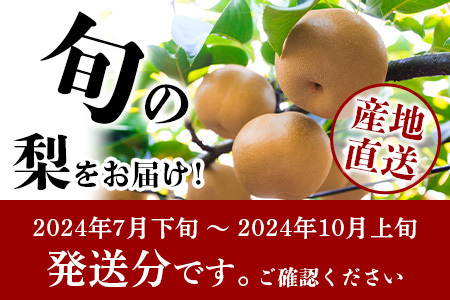 先行予約【梨 3品種 定期便】東光寺 梨 2.5～3kg (5～7玉)×3回配送 完熟【2024年7月下旬～発送分】 フルーツ 定期便 なし ナシ 果物 夏 旬 幸水 豊水 秋月 新高 シャリシャリ 025-0574