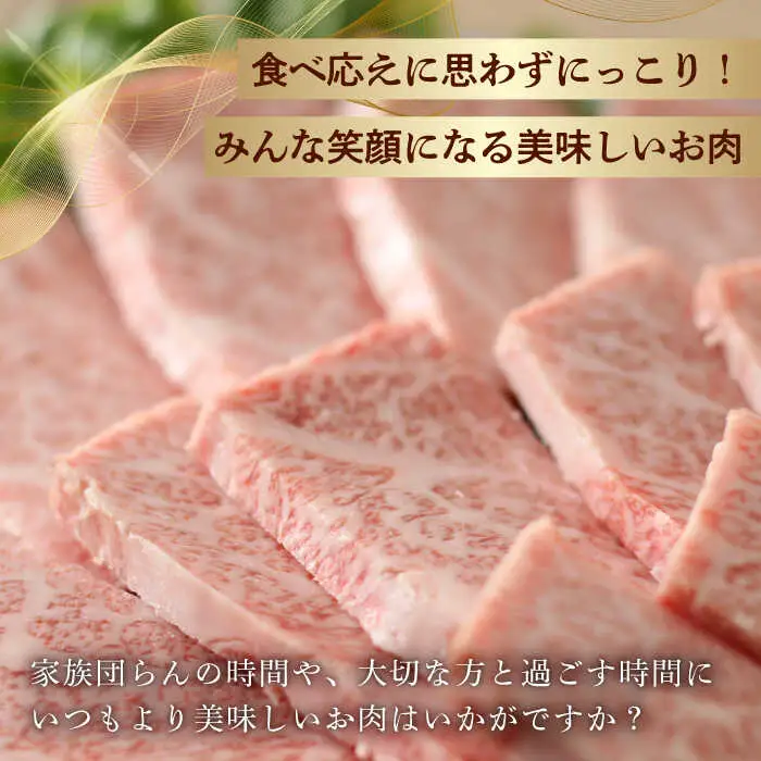 霜降り 焼肉セット 上カルビ 上モモ 計400g (200g×2) 長崎和牛 焼き肉 【夢ファームシュシュ】 [WF21] 肉 牛肉 カルビ モモ 焼肉 バーベキュー BBQ 九州 九州産