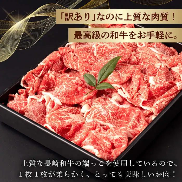 【第6回定期便】【訳あり】 切り落とし 600g 長崎和牛 黒毛和牛  【夢ファームシュシュ】 [WF36] 肉 牛肉 しゃぶしゃぶ すき焼き 訳アリ ワケあり 定期便