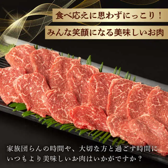 【第12回定期便】和牛 バーベキュー セット 肩ロース カルビ モモ 計600g (200g×3) 長崎和牛 焼肉 【夢ファームシュシュ】 [WF43] 和牛 牛肉 ロース カルビ モモ 焼き肉 赤身 霜降り