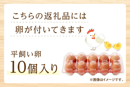 野菜 定期便 12回（卵付き）【アスカ有機農園】京の旬野菜セットL平飼い卵付き（栽培期間中農薬・化学肥料不使用）＜京都 オーガニック アクション加盟＞京野菜セット・野菜 詰め合わせ・栽培期間中 無農薬・有機野菜（オーガニック野菜）などのセット・玉子付き・京都 定期便・野菜 定期・京野菜・野菜・やさい・卵・たまご