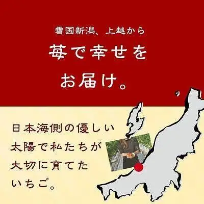 【先行予約 定期便5回】越後姫 いちご 雪国完熟 ダブル760g×5回 いちご