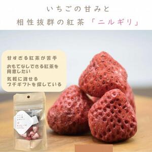 紅茶 ふわっと越後姫とふわっとドライ苺紅茶 各10袋セット 上越市 新潟 茶 苺