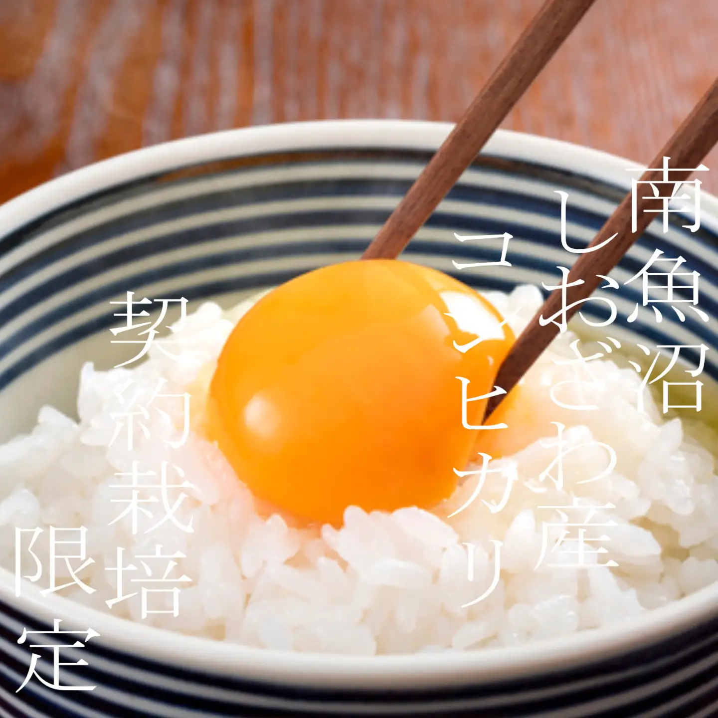 【令和7年※精米2Kg】契約栽培限定 南魚沼しおざわ産コシヒカリ｜コシヒカリ