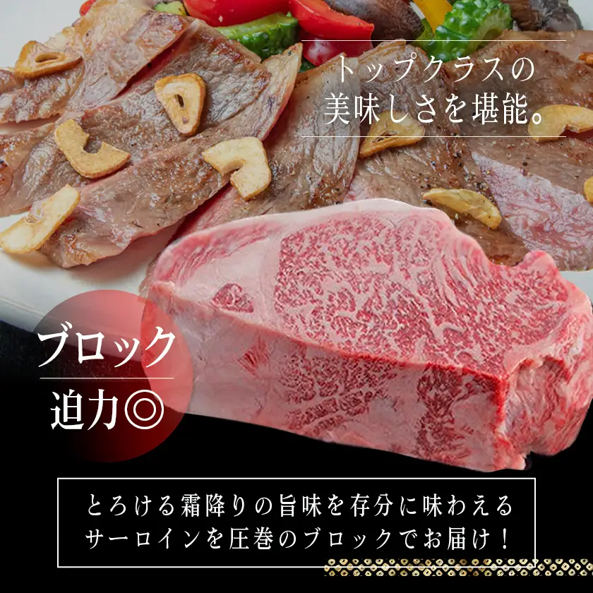 宮崎牛サーロインブロック1kg〔AF-2501〕_(都城市) サーロインブロック肉 1キロ 肉のながやま 自社飼育 牛肉 焼肉 ステーキ すき焼き キャンプ