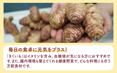 焙煎 築上きくいも茶 3g×15包 菊芋 お茶 [ABBZ016]