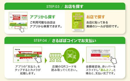 高山市ふるさと納税ポイント 1,500pt【飛騨信用組合 SB001】