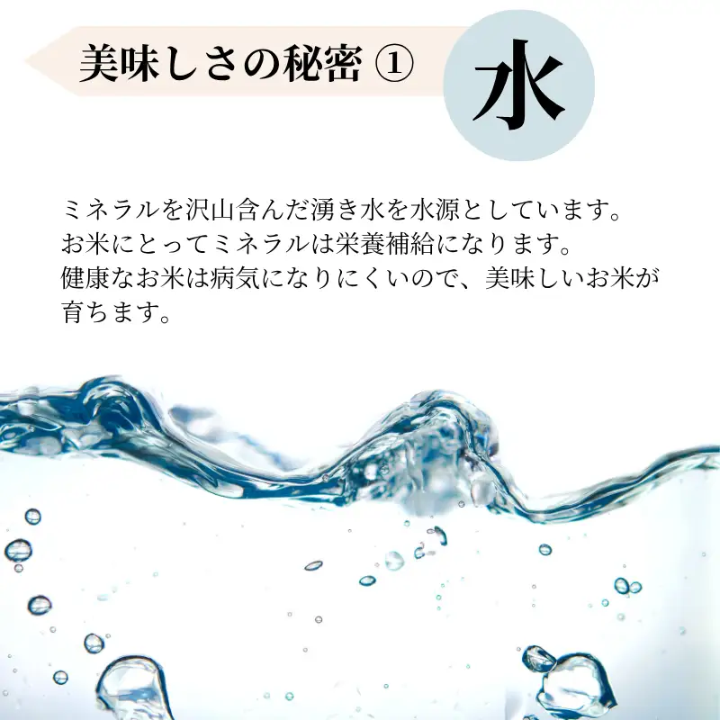 白餅 32枚 （8枚入×4パック）ヒメノモチ100％使用