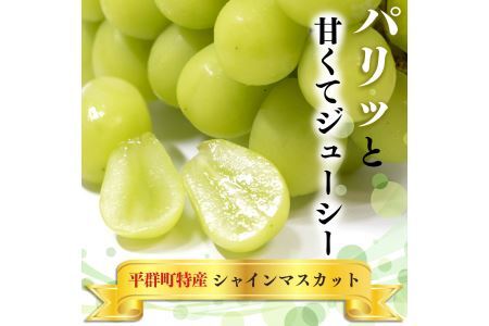 シャインマスカット 2房 （ 約1kg ）| フルーツ シャインマスカット 