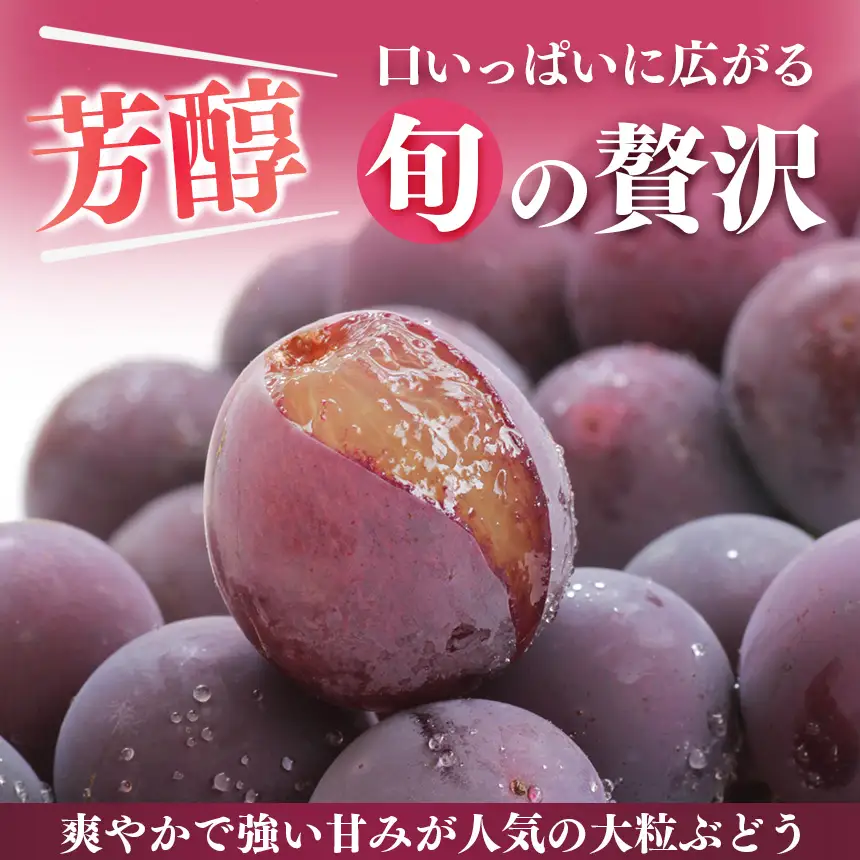 【先行予約】ピオーネ 2房 約1kg | 先行予約 季節限定 果物 くだもの フルーツ ぶどう 葡萄 ブドウ ピオーネ ジューシー 絶品 甘い 芳醇 旬 新鮮 奈良県 平群町