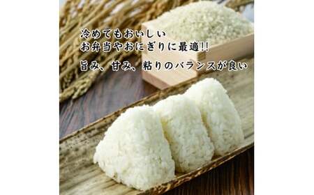 有機JAS認証米コシヒカリ白米５kg　【07208-0248】