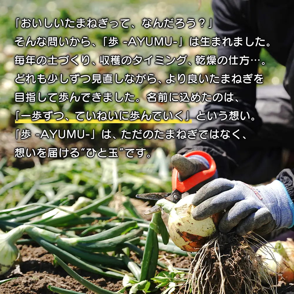 淡路島玉ねぎ 歩-AYUMU- 2kg　玉ねぎ
