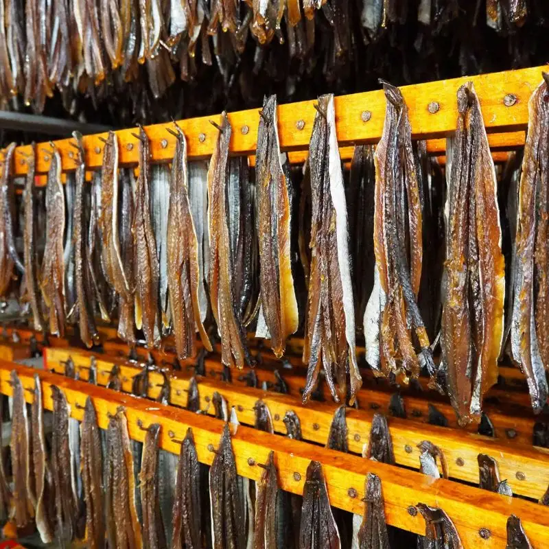 【 余市名物 】 棒丸 おつまみ 5点 セット 【 珍味 】 つまみ にしん ほっけ 鮭とば あんこう プレゼント 贈り物 セット 余市町 北海道_Y034-0060