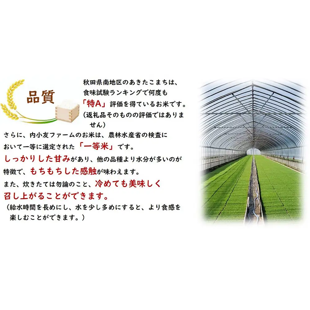 米 令和7年産 秋田県産あきたこまち 一等米 農家直送 無洗米5kg 内小友ファーム