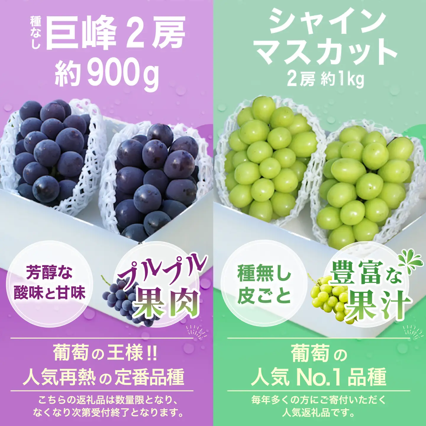 【2026年発送 先行予約】3回定期便 旬のフルーツ定期便（桃2㎏・種無し黒葡萄2～3房・シャインマスカット2～3房）180-024-26y