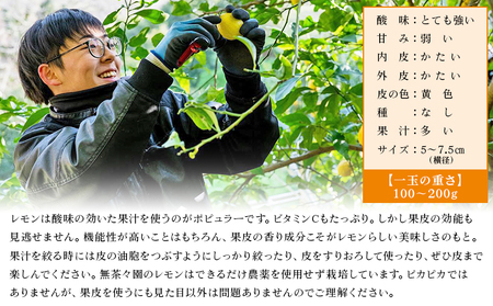 【先行予約】＜無茶々園のレモン 約3kg＋レモンの本＞ フルーツ 果物 くだもの れもん 檸檬 柑橘 香酸柑橘 国産 無茶々園 特産品 愛媛県 西予市【常温】『2027年1月～3月までに順次出荷予定』AMC0031