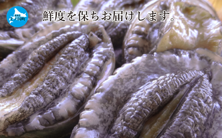 海洋牧場育ち養殖活蝦夷あわび（7㎝～7.4㎝×6個）　活アワビ　鮑　海鮮　産地直送　魚介類　海の幸　おせち　エゾアワビ　冷蔵　アワビ　BBQ　バーベキュー　蝦夷鮑