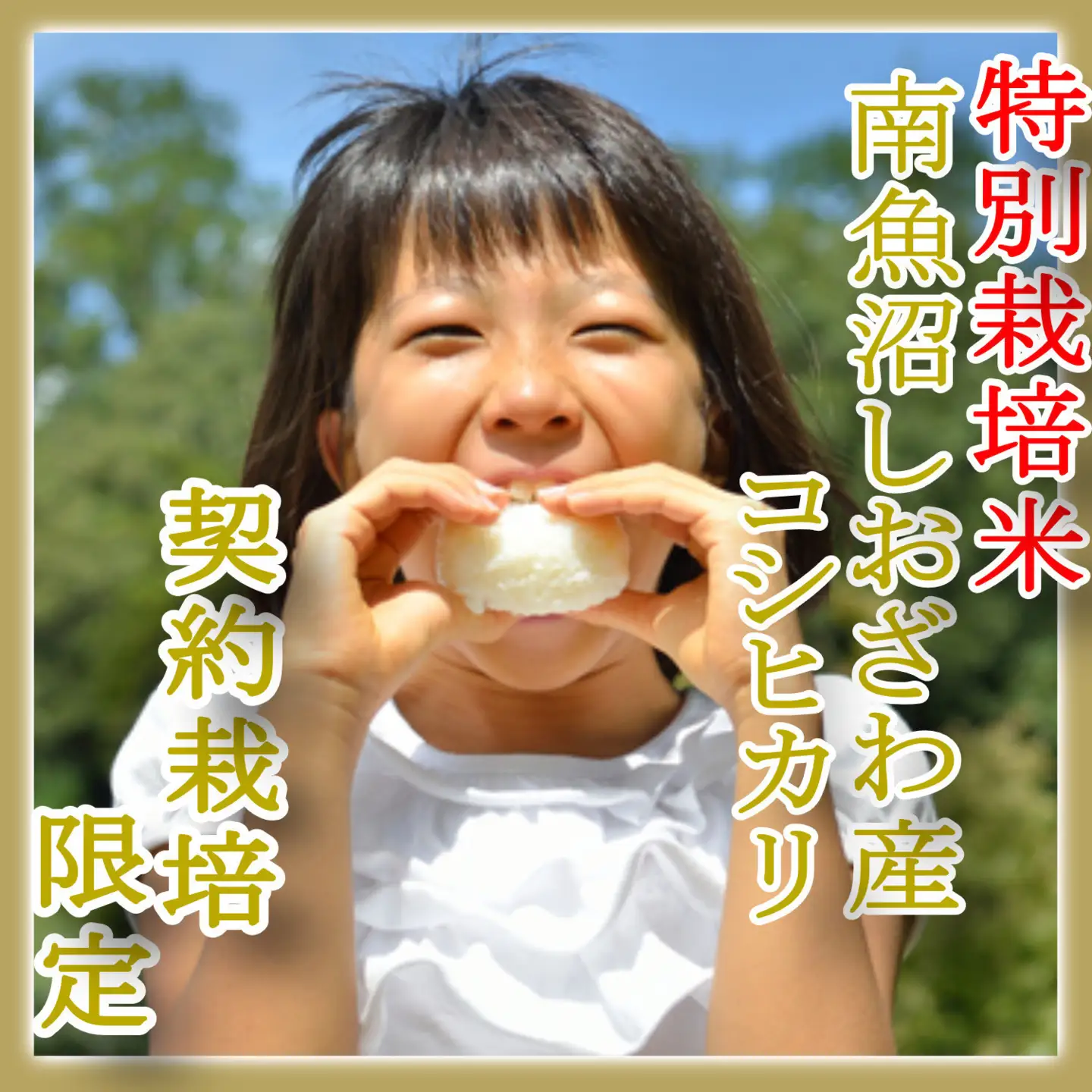 【令和7年産】【精米１０Kg】特別栽培 生産者限定  南魚沼しおざわ産コシヒカリ【銘柄米 ブランド米 精米 こしひかり コシヒカリ 魚沼産 新潟米 産地直送 お米 米 こめ コメ ご飯 御飯 ごはん】