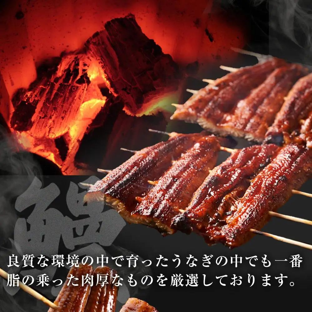 ひつまぶし　う家　お食事券　一万円分 ひつまぶし