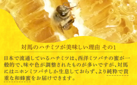 対馬 ニホンミツバチ 巣蜜 はちみつ 稀少 蜂蜜 ハチミツ [WAM022]