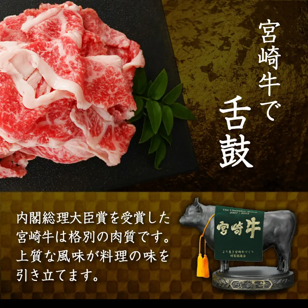 宮崎牛バラ肉の切り落とし500g (250g×2パック)〔17-7701〕_(都城市) 宮崎牛 バラ 切り落とし 500g 250g 2パック 真空 肉じゃが 牛丼