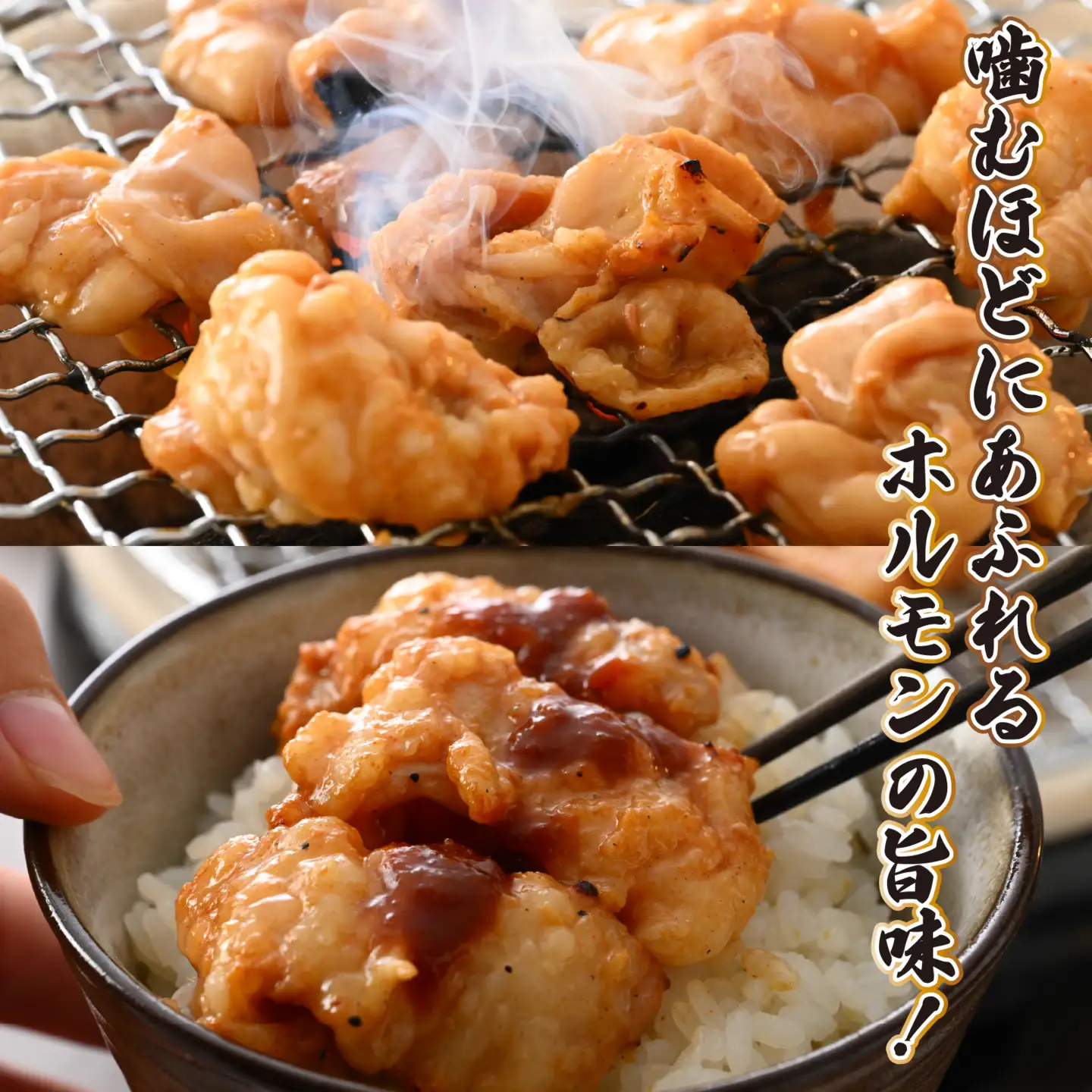 【6ヶ月定期便】星山ホルモン全種、若鶏、牛ハラミ、牛カルビセット | ホルモン 焼肉 BBQ