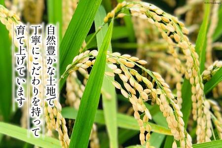 【人気急上昇中！】米 コシヒカリ 精米 2kg