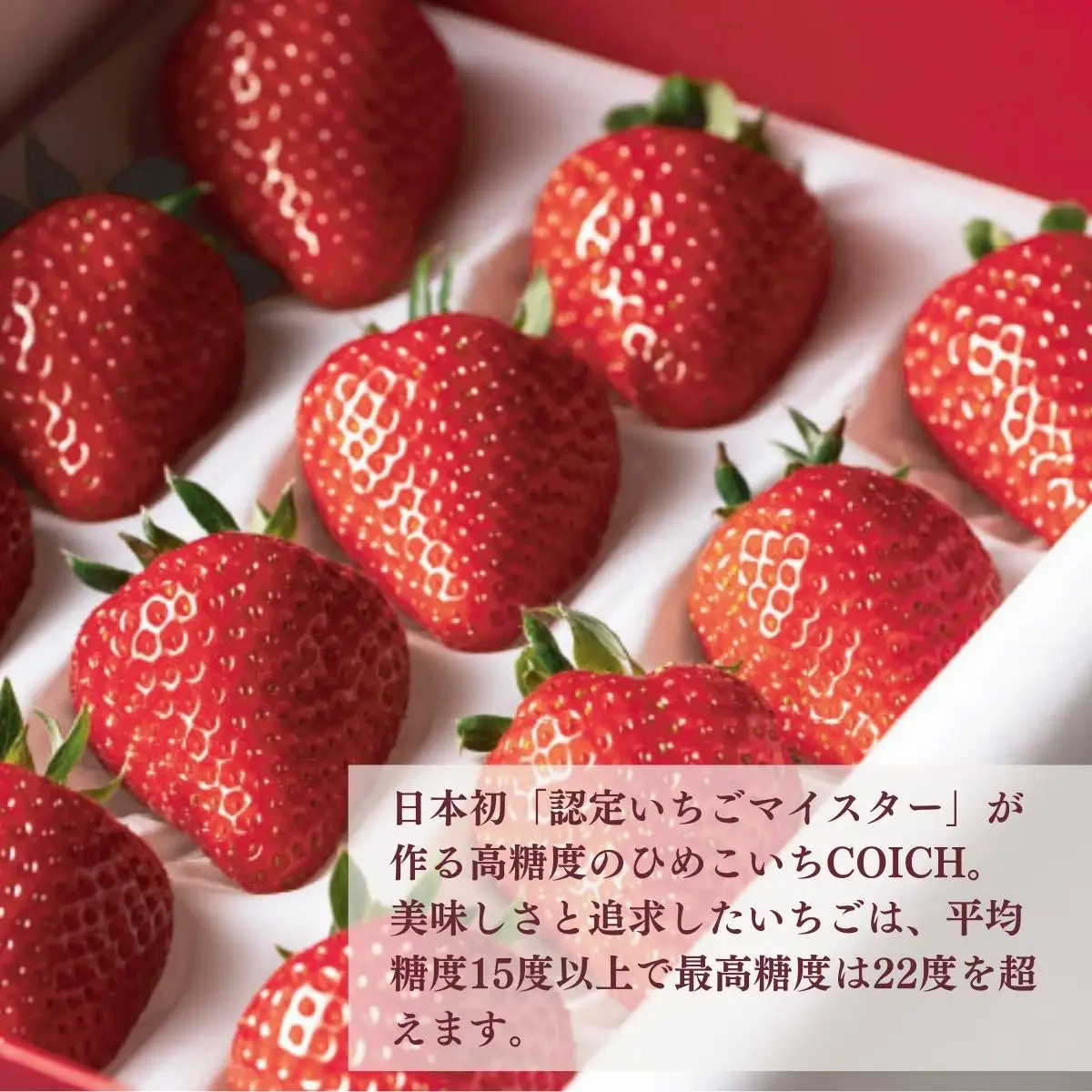 宮崎県産いちご使用～いちごのフィナンシェ3種×4個/計12個入 菓子 お菓子 洋菓子 スイーツ デザート いちご フィナンシェ プレーン いちご塩 釜炒り茶 フレーバー 贈り物 ギフト プレゼント 贈答 贈答用 ご褒美 宮崎県 高千穂町 _Tk022-009