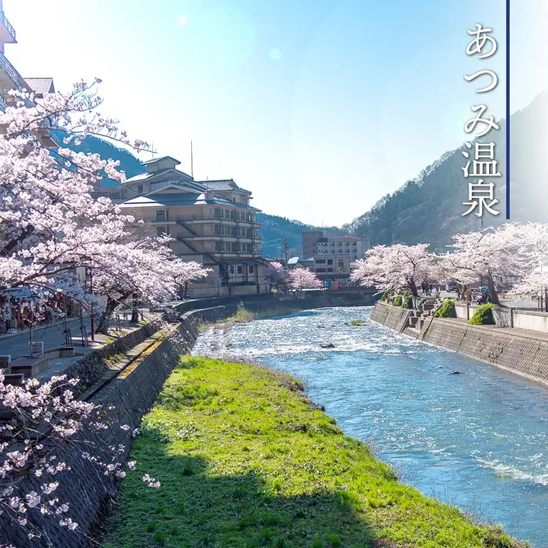 山形県鶴岡市内共通宿泊券【50,000円×1枚】湯野浜温泉・由良温泉・あつみ温泉・湯田川温泉　DEGAM鶴岡ツーリズムビューロー | 旅行 旅館 観光地 海水浴 マリンレジャー 庄内 環境省 国民保養温泉地指定