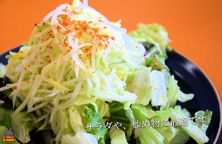 水で戻して手軽にお料理！徳之島産乾燥青パパイヤ（15g×3袋）( パパイヤ 野菜 国産 安心 安全 食材 徳之島 奄美 鹿児島 サラダ 炒め物 ポリフェノール ビタミンC 食感 美味しい ポストイン配送 )