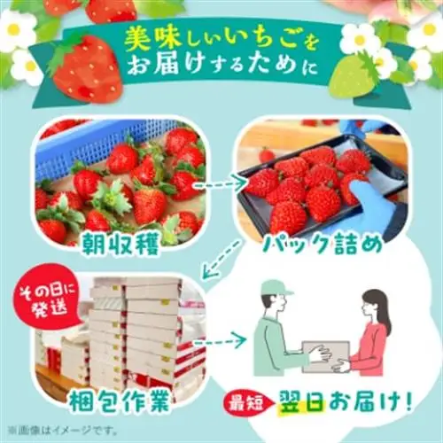 【2027年1月発送開始】【訳アリ】岡山県美作市産　いちご詰合せ(約270g×4パック)【配送不可地域：離島・北海道・沖縄県】【1073695】