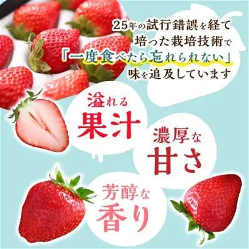 【2027年1月発送開始】岡山県美作市産　おいCベリー(約270g×2パック)_果物・フルーツ いちご  イチゴ 苺_【配送不可地域：離島・北海道・沖縄県】【1464410】