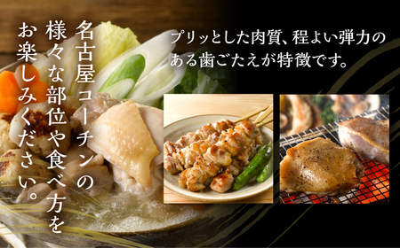【定期便】《期間限定》名古屋コーチン 4回定期便 正肉 焼き鳥 ハム