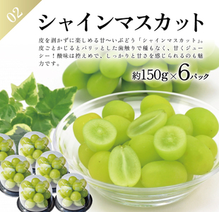 SE0465　【3回定期便】農家直送 フレッシュフルーツ定期便2026 (庄内メロン、青ぶどう、赤ぶどう)