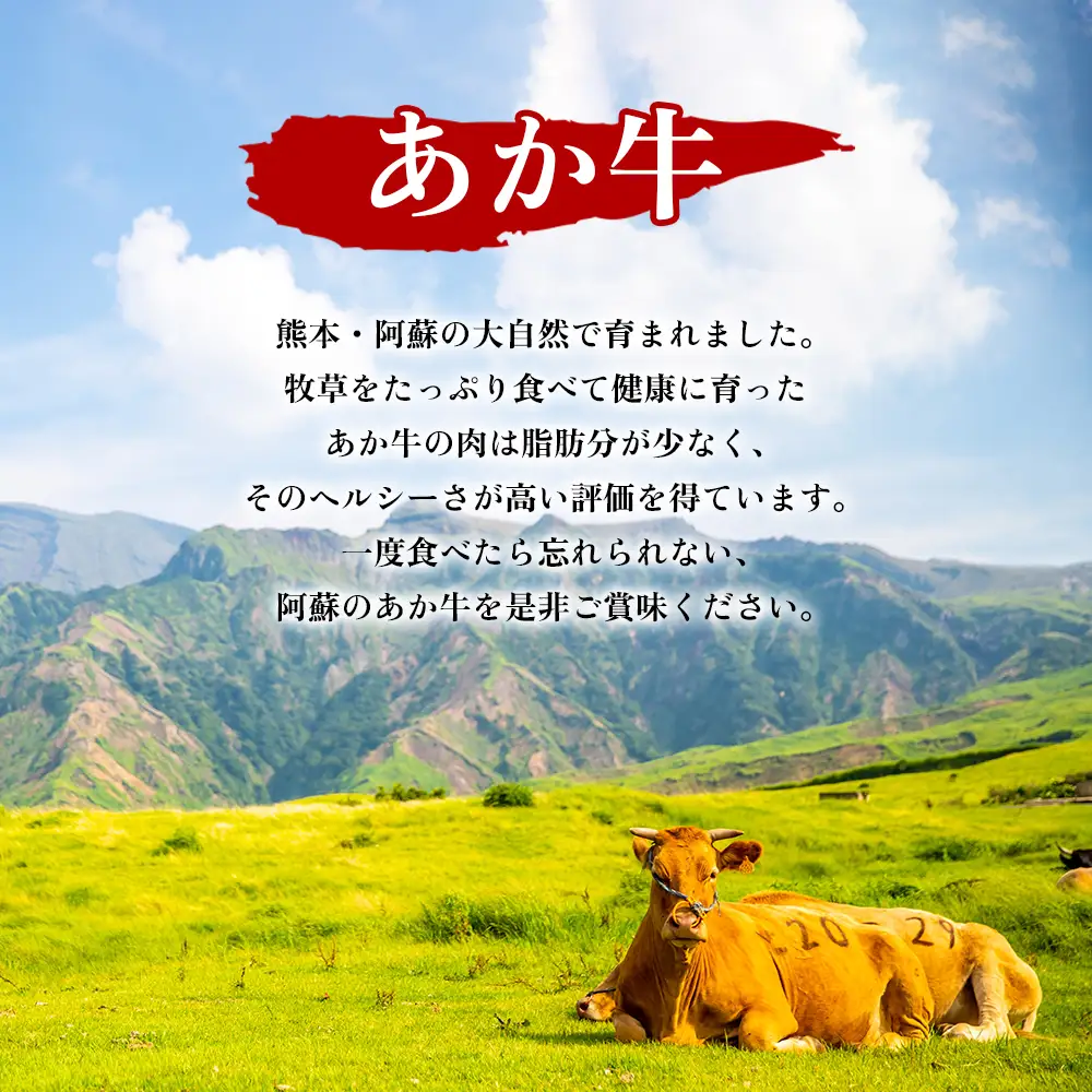 肥後の赤牛ハンバーグ150g×10個 阿蘇牧場 熊本県 阿蘇市