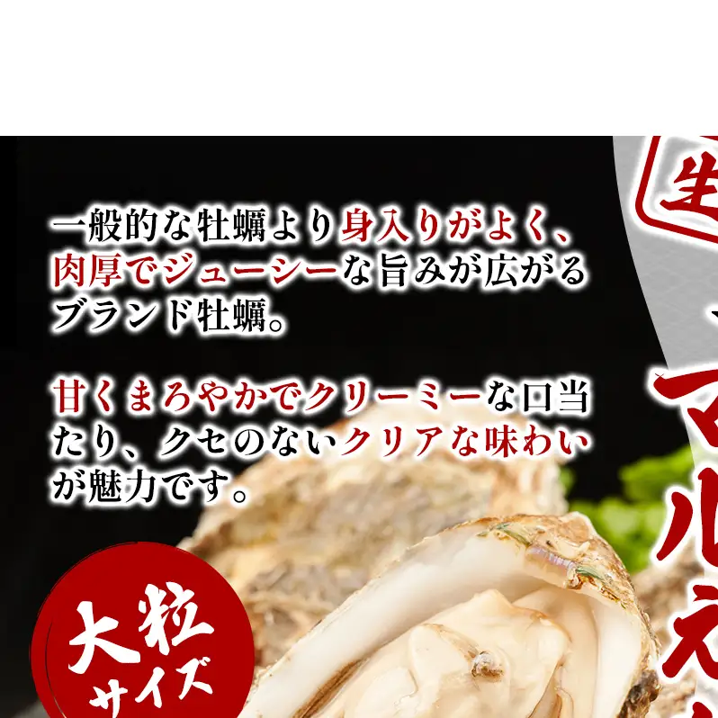 北海道 厚岸産 砂抜き済み あさり 1kg ＆ ブランド牡蠣 マルえもん 殻付き LLサイズ 10個 【光輝】 [ 魚貝類 海鮮 海の幸 みそ汁 酒蒸し アサリバタ 産地直送 生食用牡蠣 生食用 牡蠣 カキ ］