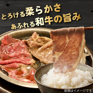 【産地直送】A4等級以上 小林市産宮崎牛特上モモ すき焼き用 600g（黒毛和牛 牛肉 和牛 宮崎牛 モモ 赤身 すき焼き A4 A5 冷蔵）