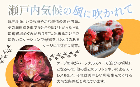 卵 たまご 夢の卵 赤玉 卵かけご飯セット 20個 + 12個 醤油 1本《90日以内に出荷予定(土日祝除く)》株式会社めぐみ 岡山県 浅口市 送料無料 6個 × 2セット 卵かけごはん