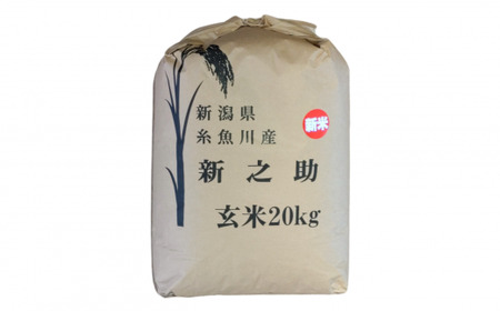 【令和6年産 新米先行予約】『新之助』玄米20kg 新潟県糸魚川産 しんのすけ 農家自慢の特選米 JA えちご上越農業協同組合
