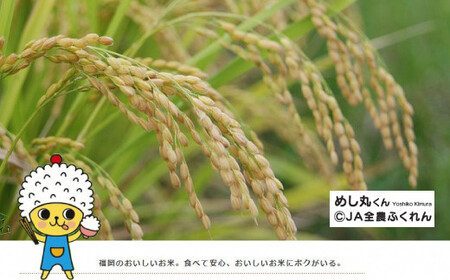 【令和5年産】 福岡県産 夢つくし 精米 白米 10kg