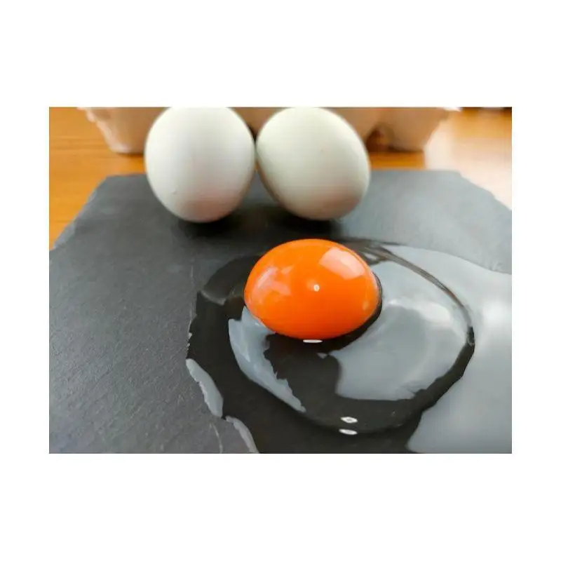 卵 卵の玉手箱 10個×2パック 名古屋コーチン 卵
