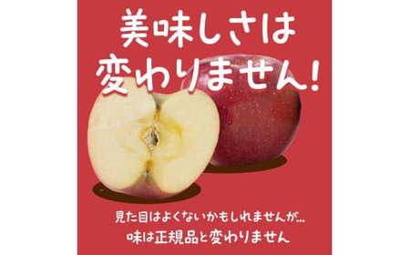 【令和8年産先行予約】 〈訳あり品 家庭用〉 りんご 「サンふじ」 約5kg バラ詰め 《令和8年12月上旬～令和9年2月下旬発送》 『カネタ高橋青果』 リンゴ 山形県 南陽市 [1958]