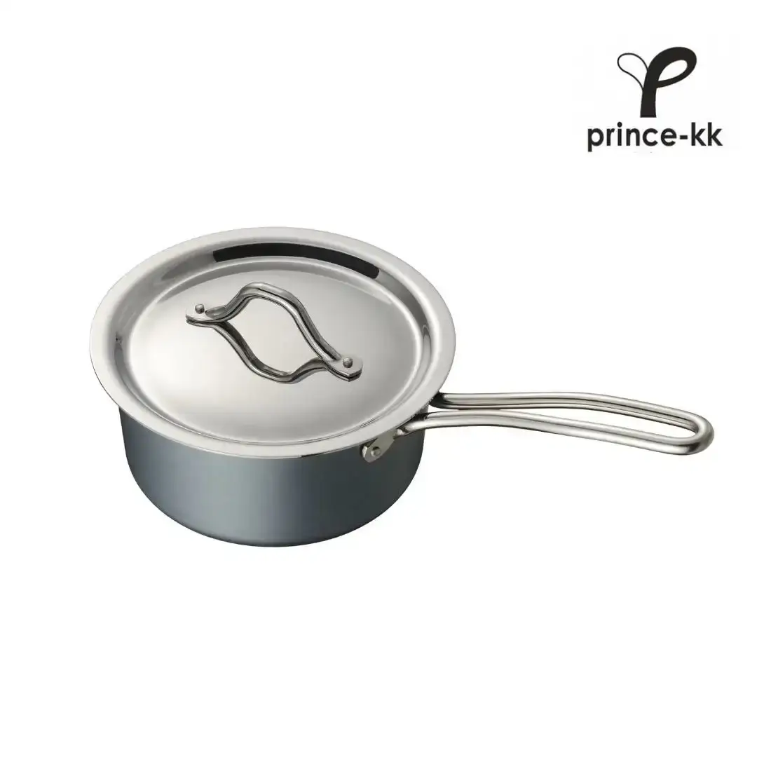 鉄鍋 TE2NABE ソースパン16cm 無水調理 燕三条製 鍋 [プリンス工業] 