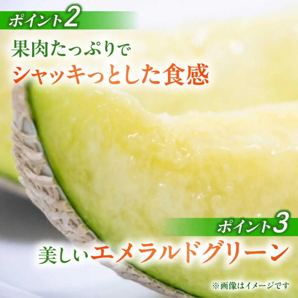【先行予約】肥後グリーンメロン2玉熊本メロンめろんZCN003
