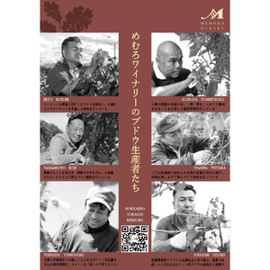 ★ 数量限定 ★ 赤ワイン「 山幸 」4種 飲み比べセット 750ml×4本 (箱入) 限定 赤 ワイン わいん 果実酒 酒 飲み比べ セット 贈り物 ギフト お祝い 記念日 お歳暮 国産 瓶 お取り寄せ 北海道 十勝 芽室町me032-050c