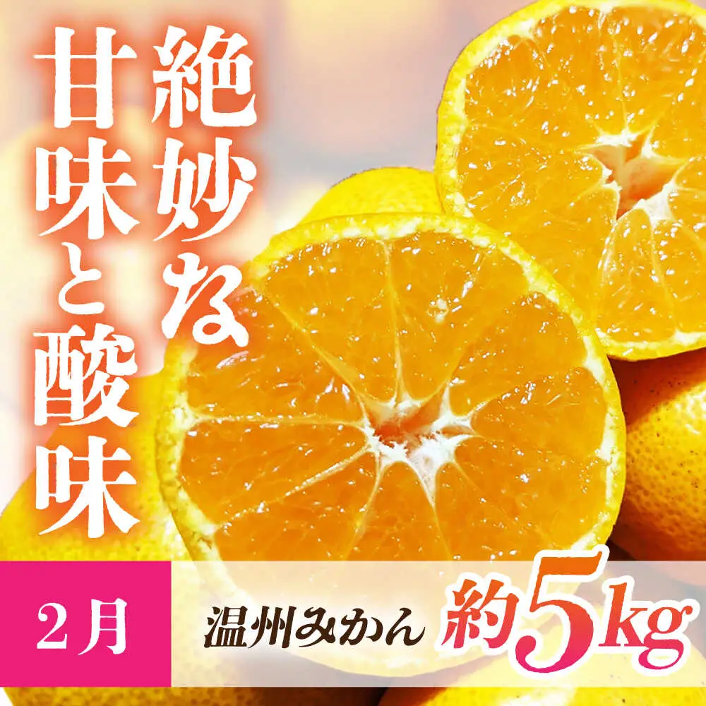 【先行予約】【3回定期便】 ほっこり幸せ！熊本・山鹿のあま〜い冬支度　熟成芋と旬のフルーツ [ZZZ001]   さつまいも みかん いちご