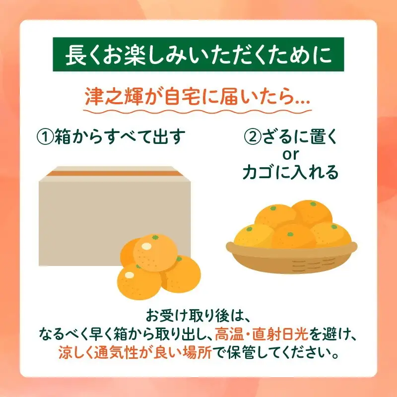 先行予約 みかん 津之輝 つのかがやき 2kg 希少 L ～ 4L フルーツ 果物 くだもの 柑橘_AAV22-26